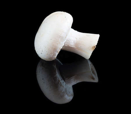 Mushroom on reflective black studio backgroundの写真素材