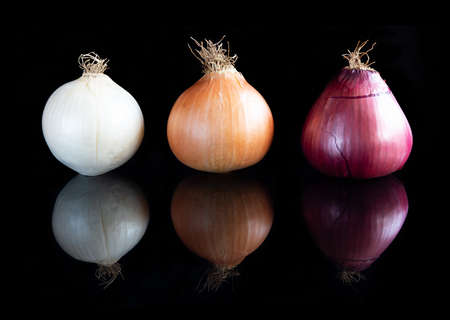 Different types of onions on black reflective backgroundの写真素材