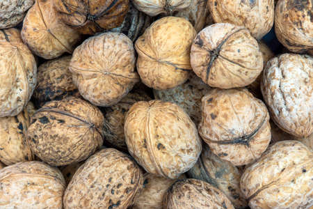 Gropu of whole solid walnuts backgroundの写真素材