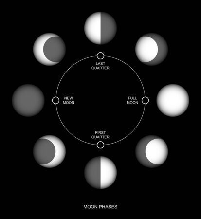 Flat design. Moon phases icon night space astronomy and nature moon phases sphere shadow. The whole cycle from new moon to full moon. Gibbous icon - Vectorのイラスト素材