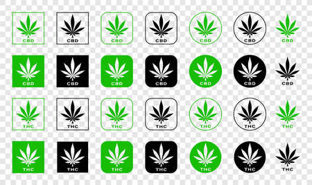Canabis leaf vector icon. Produced 100 percent organic cannabis or hemp cosmetics and natural pharmaceutical stamp icon. Information label - CBD and THC. Vector illustration.のイラスト素材