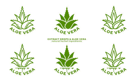 Stamps for packaging of cosmetic products. The label is aloe vera extract. Plant icon with flowing ingredient line. Aloe extract. Vector set.のイラスト素材
