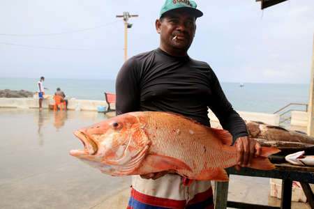 salvador, bahia, brazil - february 2, 2021: fisherman is seen holding fish in the fishing colony of Rio Vermelho beach, in the city of Salvador.のeditorial素材