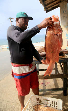 salvador, bahia, brazil - february 2, 2021: fisherman is seen holding fish in the fishing colony of...