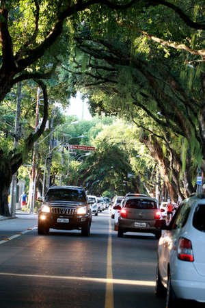 salvador, bahia / brazil - september 17, 2016: view of tree-lined street with centuries-old trees in the Corredor da Vitoria in the city of Salvador.のeditorial素材