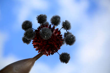 an object symbolizing the coronavirus is seen in the city of Salvador.の写真素材
