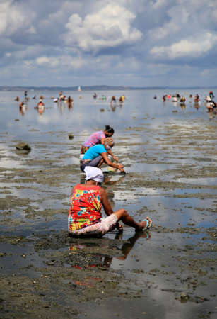 salvador, bahia, brazil - february 12, 2021: sissies are seen collecting seafood from the sea in the region of Sao Joao do Cabrito in the city of Salvador.のeditorial素材