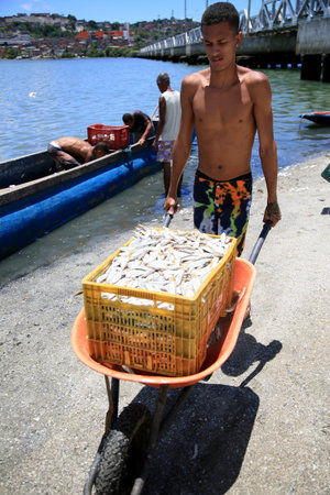 salvador, bahia, brazil - february 12, 2021: Movement of fishermen in Porto das Sardinhas, in the region of Sao Joao do Cabrito, in Salvador. fish commercialization works on site.のeditorial素材