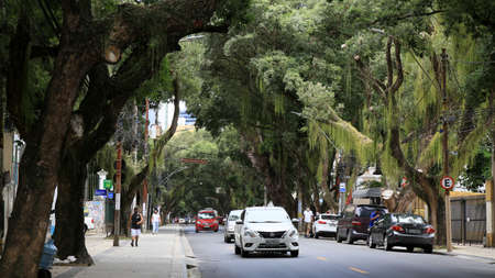salvador, bahia, brazil - december 14, 2020: vehicles are seen on a tree-lined street in the...