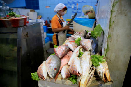 salvador, bahia, brazil - february 17, 2021: fish markets in the city of Salvador during the Lent period.のeditorial素材