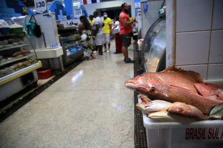 salvador, bahia, brazil - february 17, 2021: fish markets in the city of Salvador during the Lent period.のeditorial素材