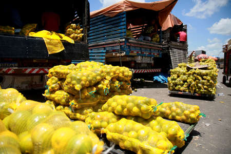 salvador, bahia, brazil - december 11, 2020: trade in orange fruits at the Sao Joao fair in the city of Salvador.のeditorial素材