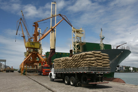 ilheus, bahia / brazil - march 26, 2012: workers are seen disembarking cocoa beans at the port of...