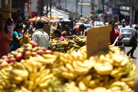 salvador, bahia / brazil - october 9, 2018: Street vendor sells fruit on Joana Angelica Avenue in the city of Salvador.のeditorial素材