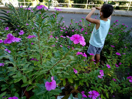 salvador, bahia / brazil - november 24, 2020: child is seen playing in a flower garden in the city of Salvador.のeditorial素材