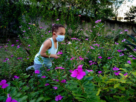 salvador, bahia / brazil - november 24, 2020: child is seen playing in a flower garden in the city of Salvador.のeditorial素材