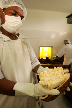 porto Seguro, bahia / brazil - october 15, 2010: production of cupuacu pulp in industry in Porto Seguro.のeditorial素材