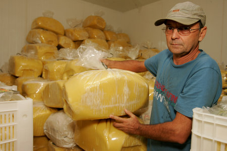 porto Seguro, bahia / brazil - october 15, 2010: production of cupuacu pulp in industry in the city...