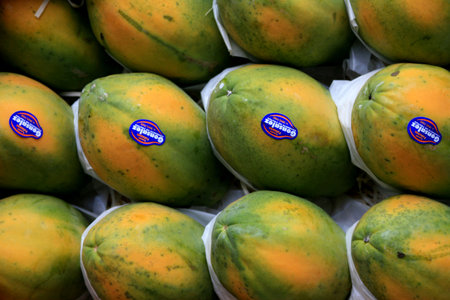 mucuri, bahia / brazil - march 11, 2009: collection and processing of papaya for export in the city of Mucuri.のeditorial素材