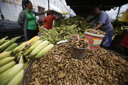 salvador, bahia / brazil - June 17, 2019: peanuts for sale at an open market in the neighborhood of Boca do Rio in the city of salvador.のeditorial素材