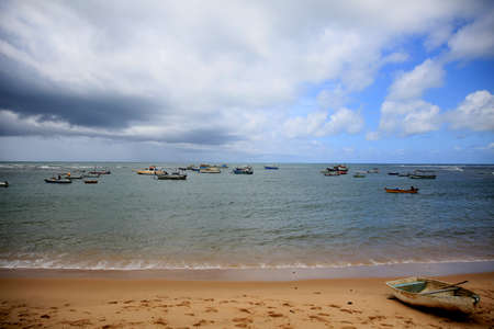 mata de sao joao, bahia / brazil - september 23, 2020: view of Praia do Forte, in the municipality of Mata de Sao Joao.のeditorial素材