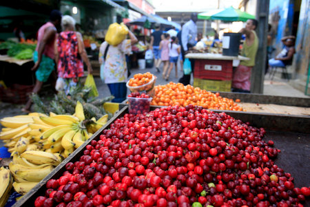 salvador, bahia / brazil - december 27, 2016: cashew for sale at the Japan Fair in the Liberdade neighborhood of Salvador.のeditorial素材