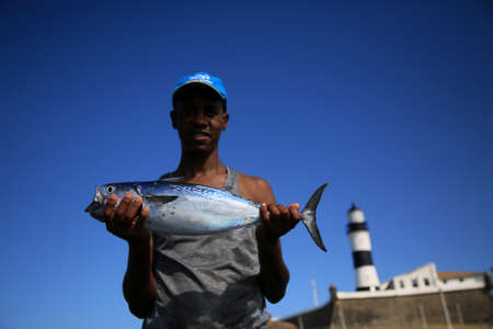salvador, bahia / brazil - december 6, 2019: Artisanal fisherman shows the fish caught at Farol da Barra Beach in Salvador city.のeditorial素材