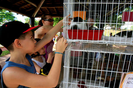 salvador, bahia / brazil - may 4, 2014: people watch animals at an adoption fair in the city of Salvador.のeditorial素材