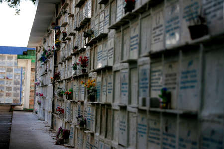salvador, bahia / brazil - September 18, 2015: Vertical tombs are seen in the Quinta dos Lazaros...