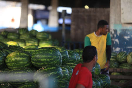 salvador, bahia / brazil - june 8, 2016: sale of watermelon in food distribution center in the city of Salvador.のeditorial素材