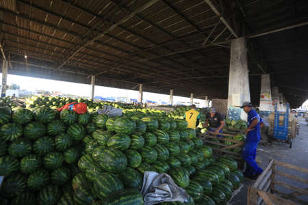 salvador, bahia / brazil - june 8, 2016: sale of watermelon in food distribution center in the city of Salvador.のeditorial素材