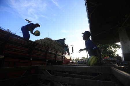 salvador, bahia / brazil - june 8, 2016: sale of watermelon in food distribution center in the city of Salvador.のeditorial素材