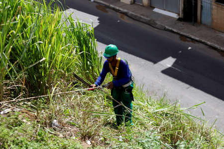 salvador, bahia / brazil - may 16, 2016: gari uses abseiling technique to cut bush on hillside in Narandiba neighborhood in the city of Salvador.のeditorial素材