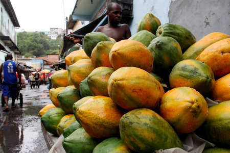 salvador, bahia / brazil - april 18, 2013: papayas are seen for sale at Feira de Sao Joaquim, in the city of Salvador.のeditorial素材