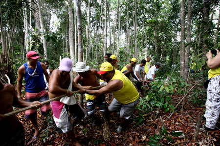 ilheus, Bahia / Brazil - January 8, 2012: tourists and devotees from Sao Sebastiao are seen during mast pull in honor of the saint in the district of Olivenca, in Ilheus.のeditorial素材