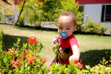 salvador, bahia / brazil - june5, 2019: children are seen with pacifiers in their mouths while playing in a garden in the city of Salvador.のeditorial素材