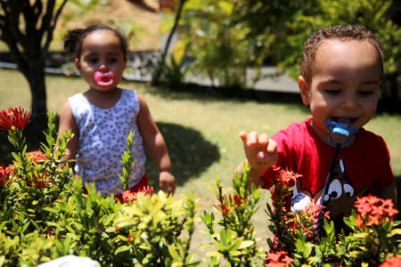 salvador, bahia / brazil - june5, 2019: children are seen with pacifiers in their mouths while playing in a garden in the city of Salvador.のeditorial素材