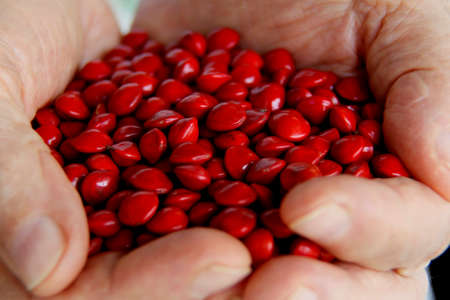 Hand of elderly man are seen holding semantes in the city of Salvador.の写真素材
