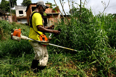 itabuna, bahia / brazil - january 5, 2012: City officials clean the bush that takes over the Novo Horizonte neighborhood in the city of Itabuna.のeditorial素材