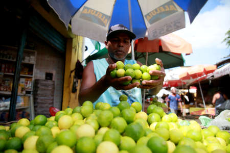 salvador, bahia / brazil - November 6, 2019: seller of lemons at the Sao Joaquim Fair in Salvador.のeditorial素材