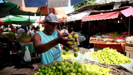 salvador, bahia / brazil - November 6, 2019: seller of lemons at the Sao Joaquim Fair in Salvador.のeditorial素材