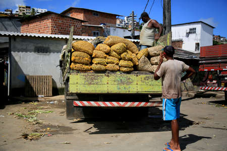 salvador, bahia, brazil - june 28, 2021: People are seeing bags of peanuts from a truck at the Sao unload Joaquim fair in the city of Salvador.のeditorial素材