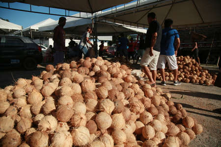 conde, bahia, brazil - october 9, 2021: Dry coconut trade at a fair in the city of Conde, north coast of Bahia.のeditorial素材