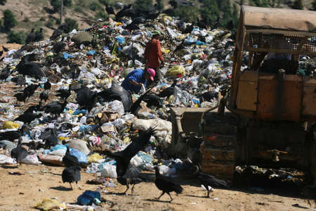 teixeira de freitas, bahia, brazil - may 5, 2008: person collecting material for recycling in a landfill in the city of teixeira de freitaのeditorial素材