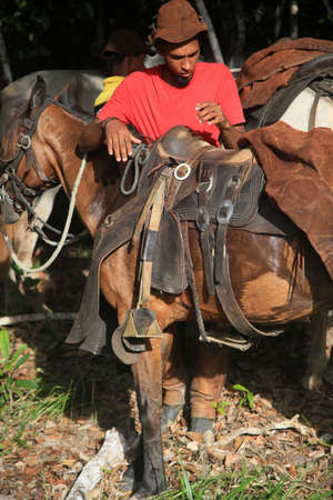 Conde, Bahia, Brazil - January 9, 2022: Cowboys wearing typical leather costumes participate in a competition to capture the x in the woods in a rural area in the city of Conde.のeditorial素材