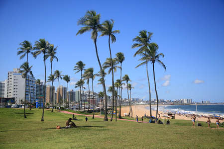Salvador, Bahia, Brazil - March 20, 2022: view of the green area in the Jardim de Alah region in the city of Salvador.のeditorial素材