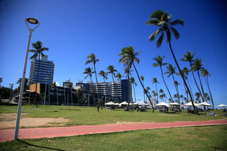 Salvador, Bahia, Brazil - March 20, 2022: view of the green area in the Jardim de Alah region in the city of Salvador.のeditorial素材