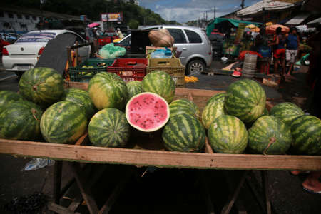 salvador, bahia, brazil - april 30, 2022: watermelon for sale at the Sao Joaquim fair in the city of Salvador.のeditorial素材