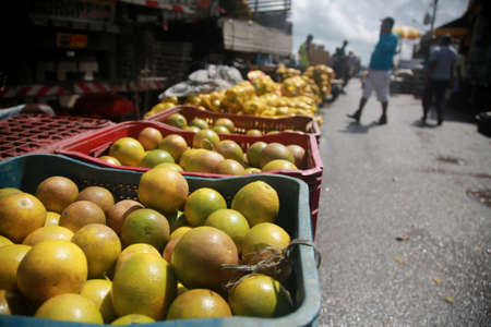 salvador, bahia, brazil - april 30, 2022: orange for sale at the Sao Joaquim fair in the city of Salvador.のeditorial素材