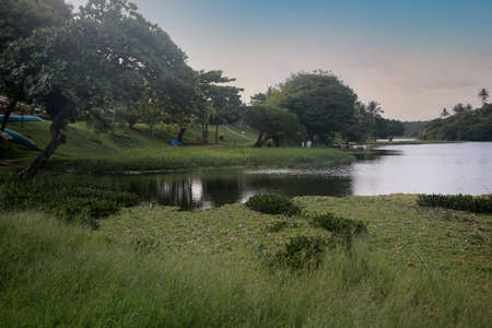 Salvador, Bahia, Brazil - January 27, 2022: view of the Metropolitan Park of Pituacu in the city of Salvadorのeditorial素材